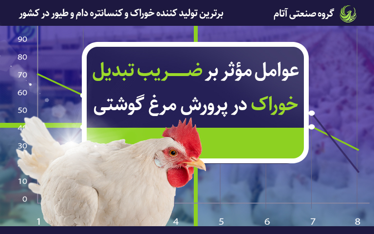 ضریب تبدیل چیست و چه عواملی بر آن مؤثر است؟